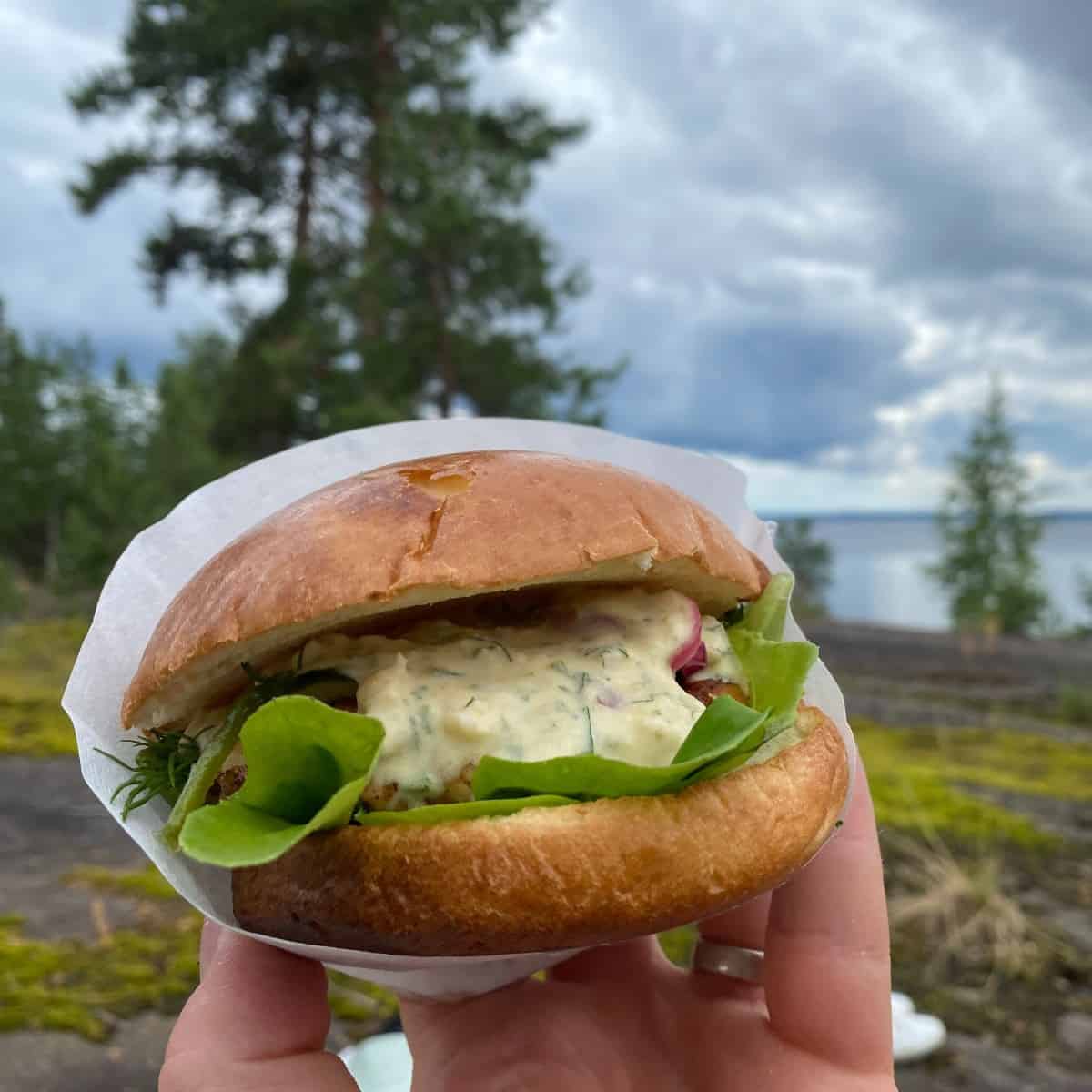 Kenttäolosuhteissa tehty haukiburger Nuotiolla tehty haukiburger Höytiäisen kauniissa maisemissa.